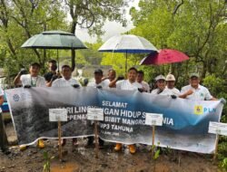 Dalam Rangka Hari Lingkungan Hidup Sedunia, PLN UP3 Tahuna Perkuat Komitmen Lingkungan melalui Program Penanaman Mangrove