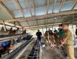 PLN UP3 Manado Dukung Ketahanan Pangan Melalui Pelatihan Budidaya Ayam dan Pengolahan Limbah Ayam Buras